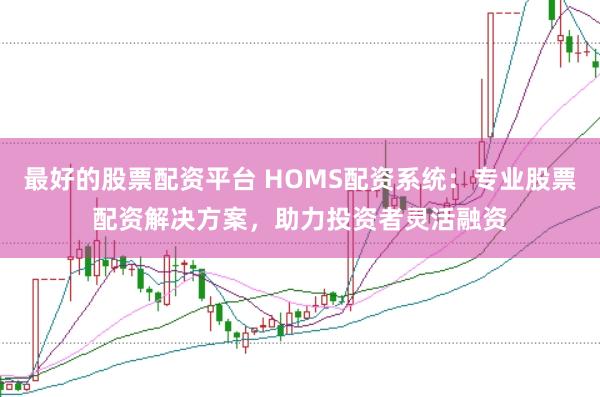 最好的股票配资平台 HOMS配资系统：专业股票配资解决方案，助力投资者灵活融资