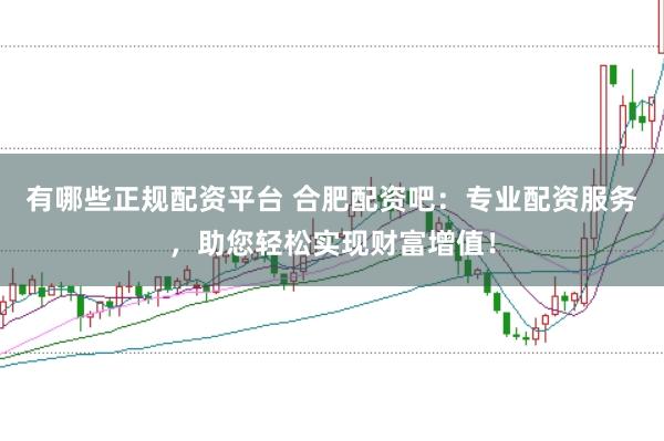 有哪些正规配资平台 合肥配资吧：专业配资服务，助您轻松实现财富增值！