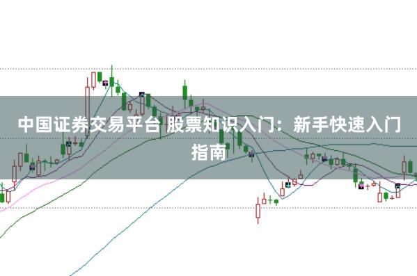 中国证券交易平台 股票知识入门：新手快速入门指南