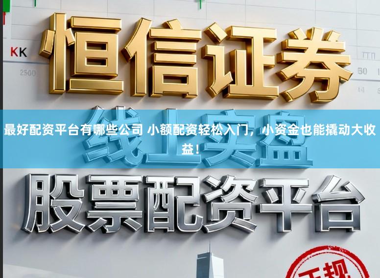 最好配资平台有哪些公司 小额配资轻松入门，小资金也能撬动大收益！