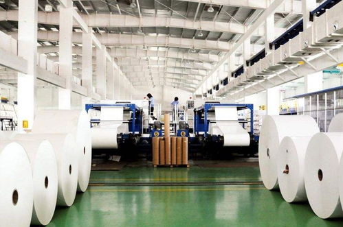 为了青山绿水,广东东莞三年淘汰造纸产能逾500万吨